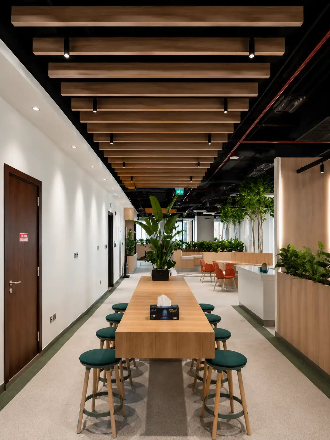 Baffle Ceiling